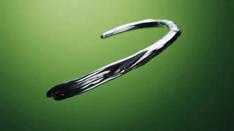 Macro Sneaker